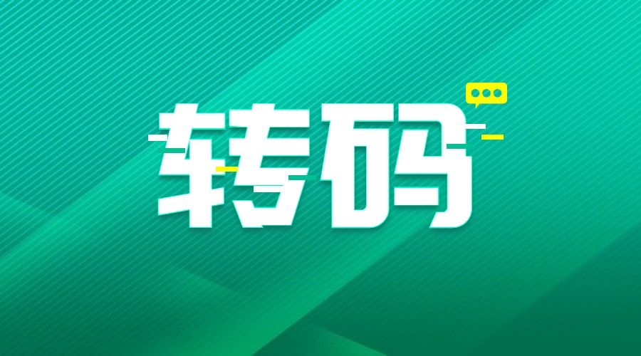 中文域名，域名转码.jpg