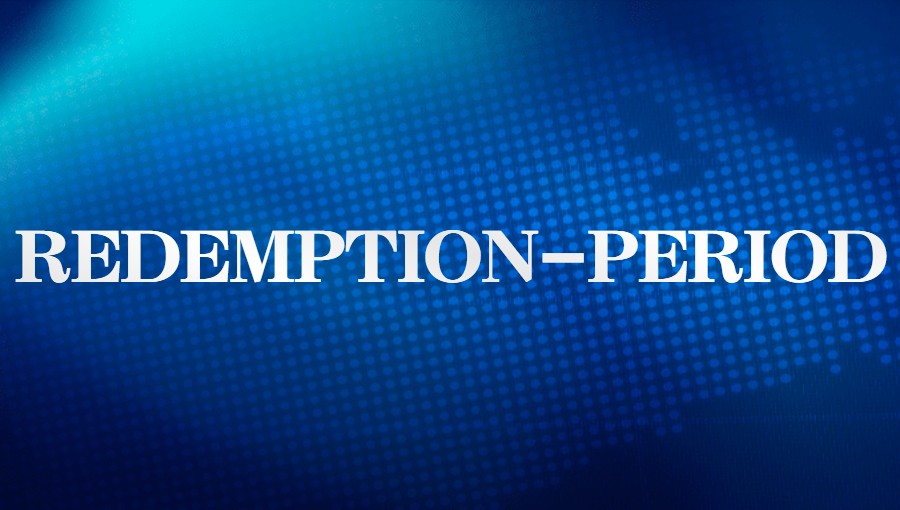 域名状态显示REDEMPTION-PERIOD是什么意思？.jpg