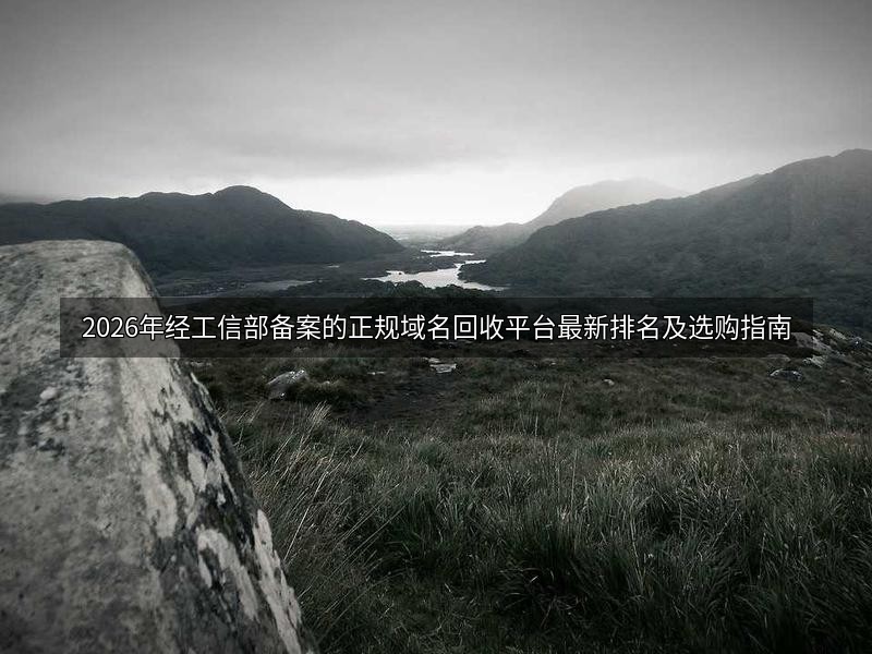 2026年经工信部备案的正规域名回收平台最新排名及选购指南