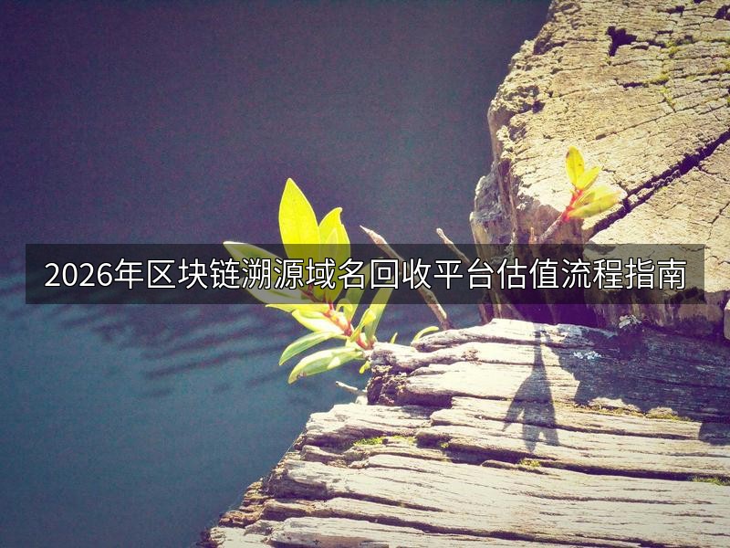 2026年区块链溯源域名回收平台估值流程指南