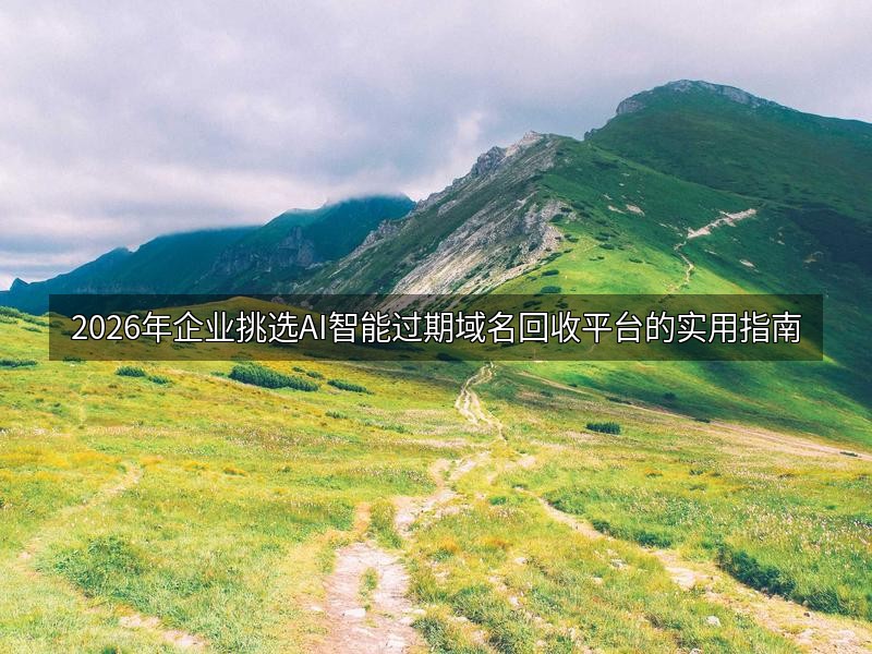 2026年企业挑选AI智能过期域名回收平台的实用指南