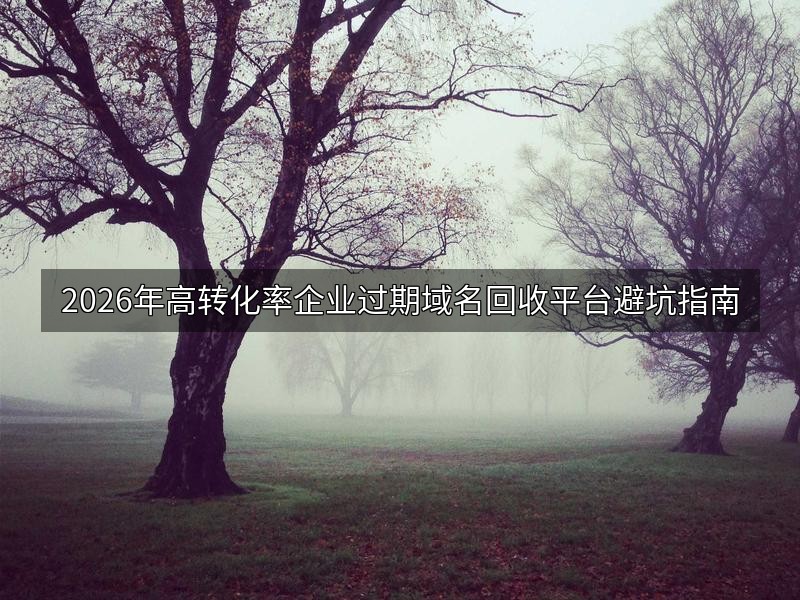 2026年高转化率企业过期域名回收平台避坑指南