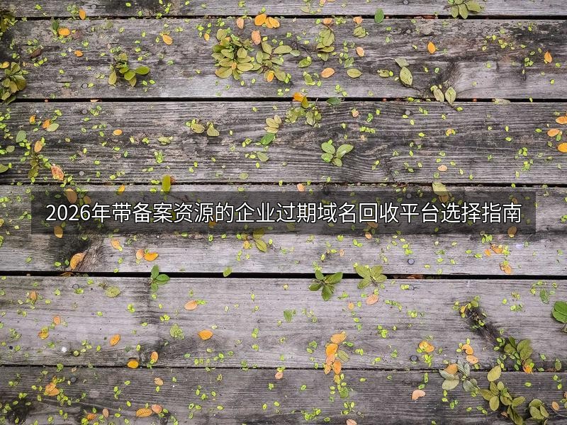 2026年带备案资源的企业过期域名回收平台选择指南