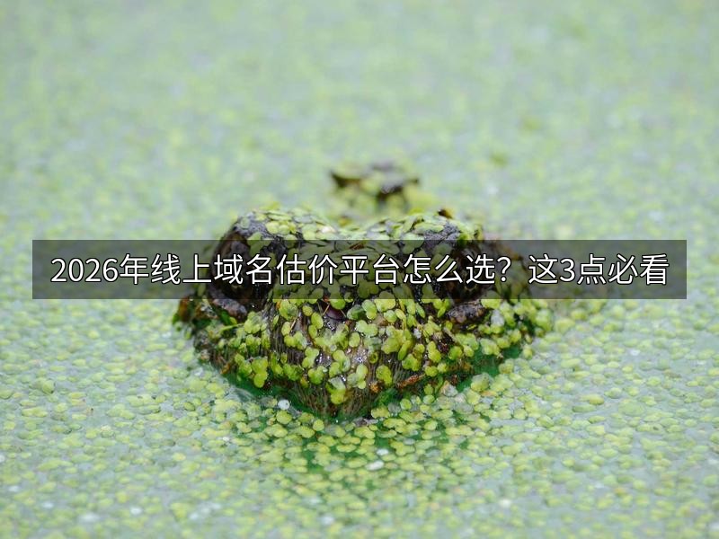 2026年线上域名估价平台怎么选?这3点必看