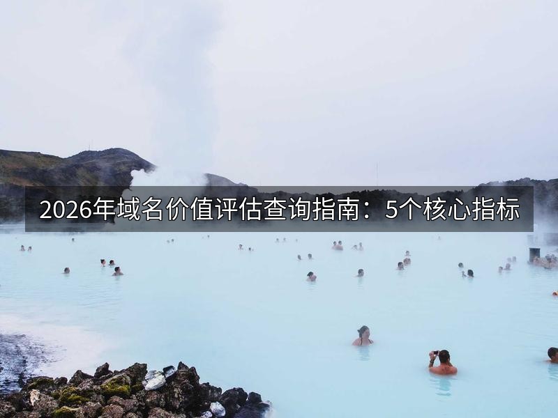 2026年域名价值评估查询指南：5个核心指标