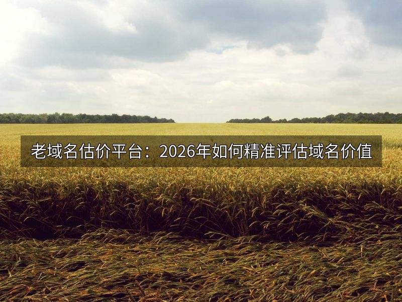 老域名估价平台：2026年如何精准评估域名价值