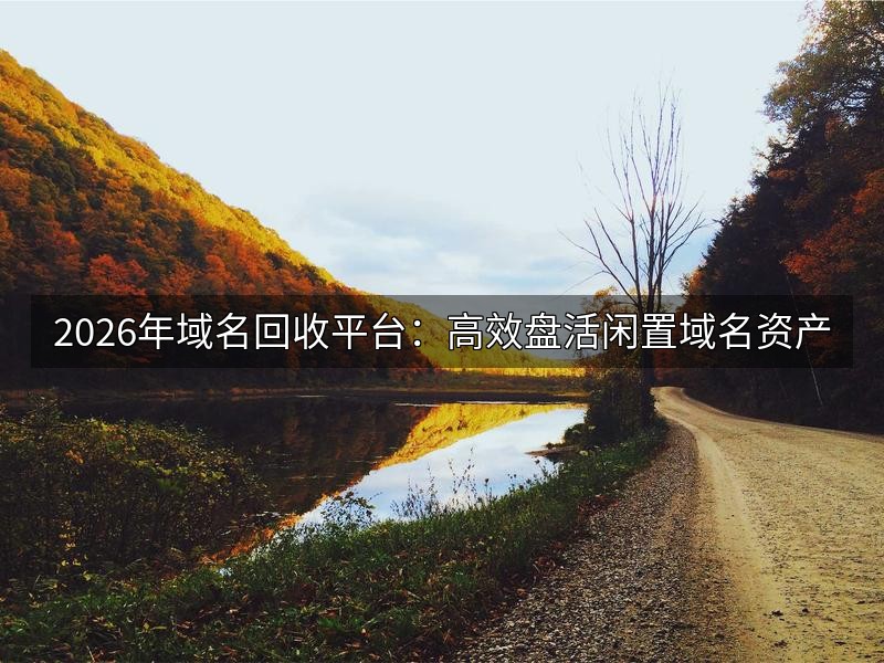 2026年域名回收平台:高效盘活闲置域名资产
