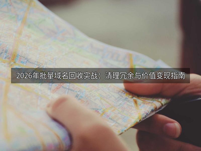 2026年批量域名回收实战:清理冗余与价值变现指南