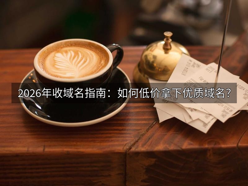 2026年收域名指南:如何低价拿下优质域名?