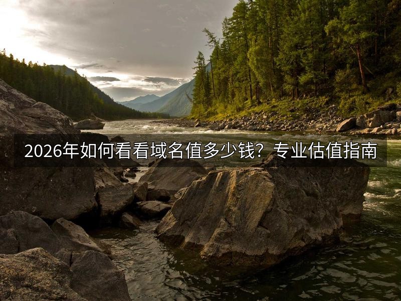 2026年如何看看域名值多少钱？专业估值指南