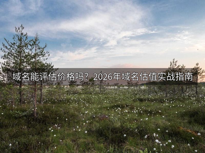 域名能评估价格吗？2026年域名估值实战指南