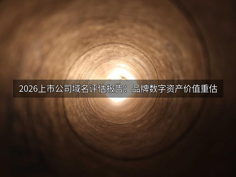 2026上市公司域名评估报告:品牌数字资产价值重估