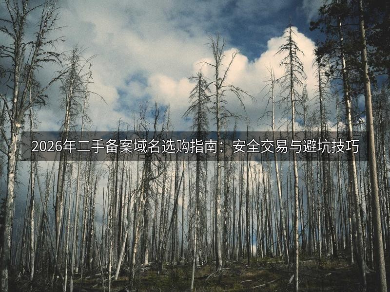 2026年二手备案域名选购指南：安全交易与避坑技巧
