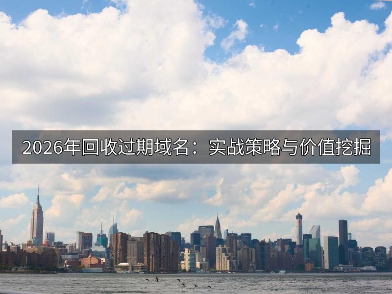2026年回收过期域名：实战策略与价值挖掘