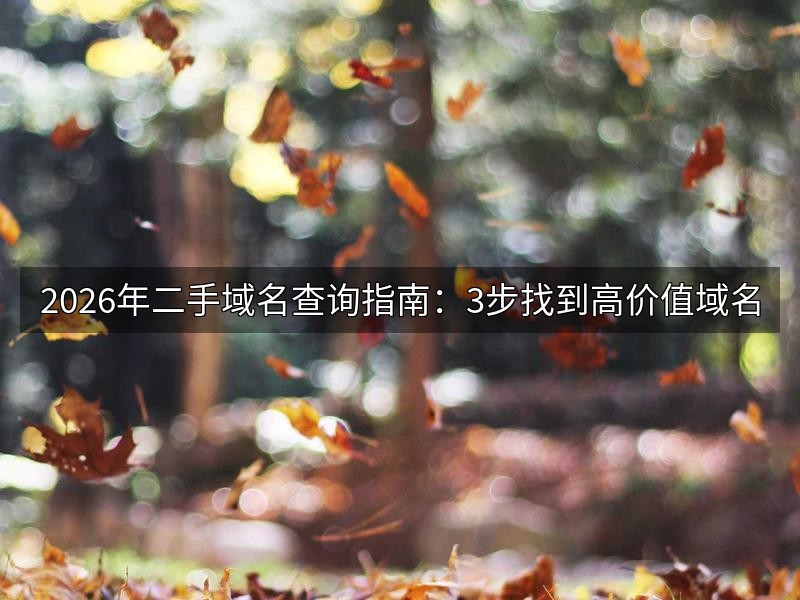 2026年二手域名查询指南:3步找到高价值域名