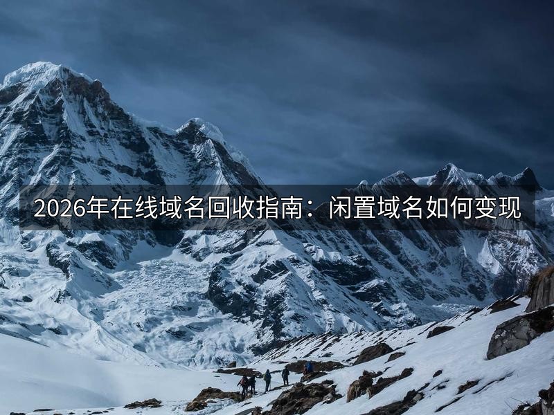 2026年在线域名回收指南：闲置域名如何变现