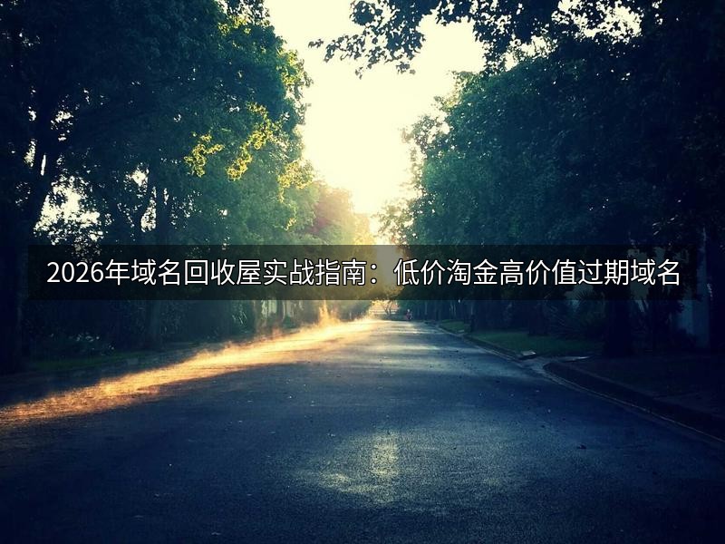 2026年域名回收屋实战指南：低价淘金高价值过期域名