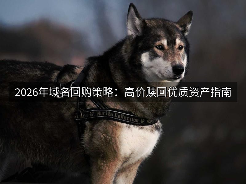 2026年域名回购策略：高价赎回优质资产指南